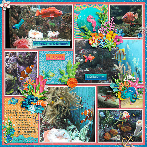 The Coral Reef at the Aquarium