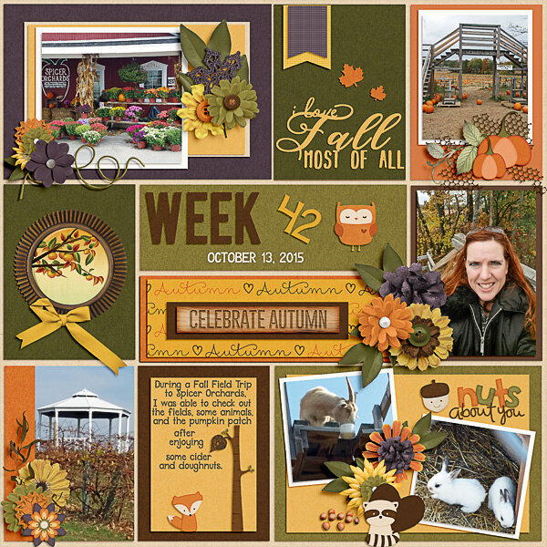 Week 42:  October 13, 2015