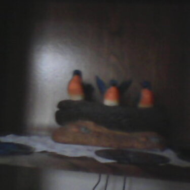 The 3 Birds Of God