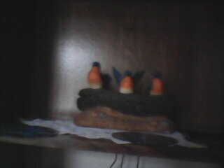 The 3 Birds Of God