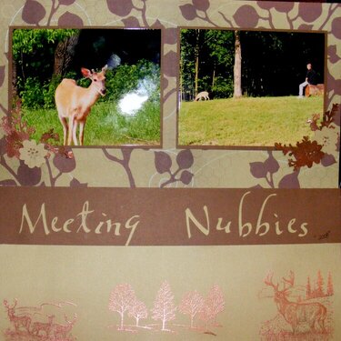 Meeting Nubbies