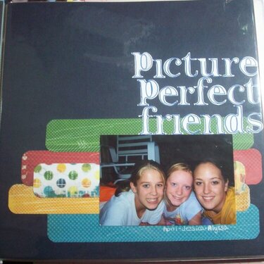 Picture Perfect Friends