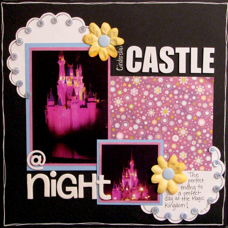 Cinderella&#039;s Castle at Night