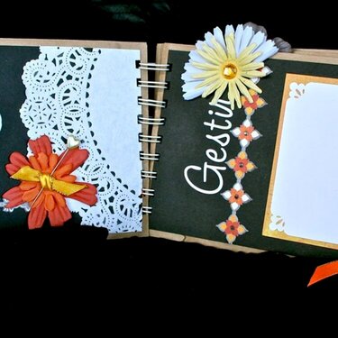 Ladies night guestbook - pages 1 &amp; 2