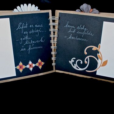 Ladies night guestbook - pages 3 &amp; 4