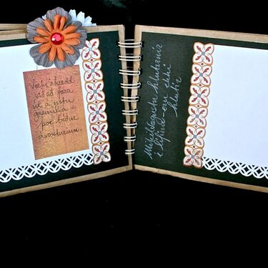 Ladies night guestbook - pages 5 &amp; 6