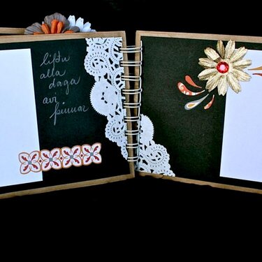 Ladies night guestbook - pages 7 &amp; 8