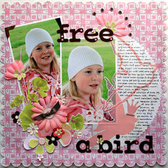 Free as a bird - survivor 8