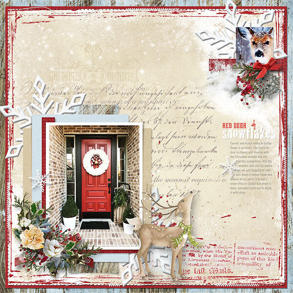 RED DOOR AND SNOWFLAKES