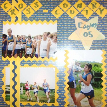 NE Eagles Cross-country