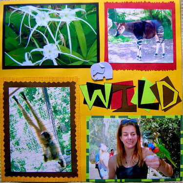 Wild Animal Park (page 1)