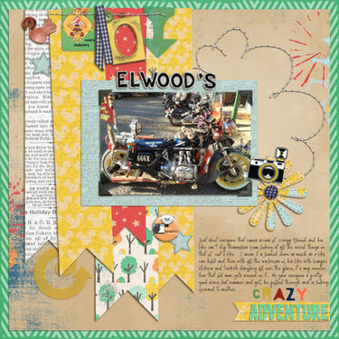 Elwood&#039;s Crazy Adventure