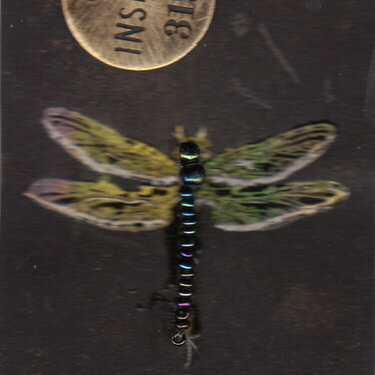 Spring Fling Bug ATC Card