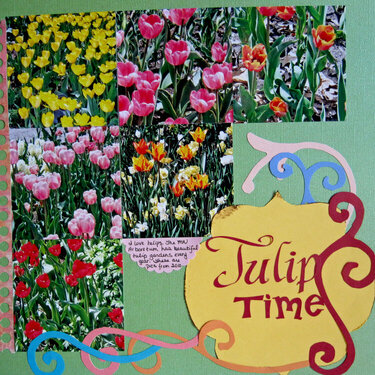Tulip Time