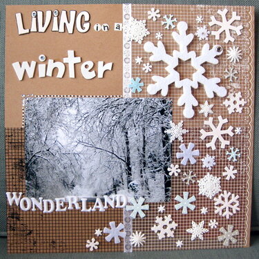 Living in a Winter Wonderland