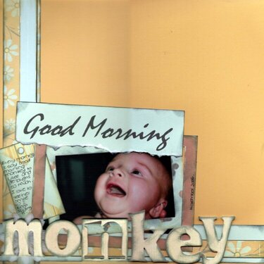 Good Morning Monkey