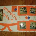 Orange Belt