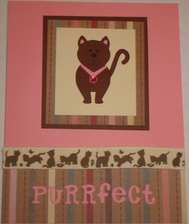 Pruufect Cat card