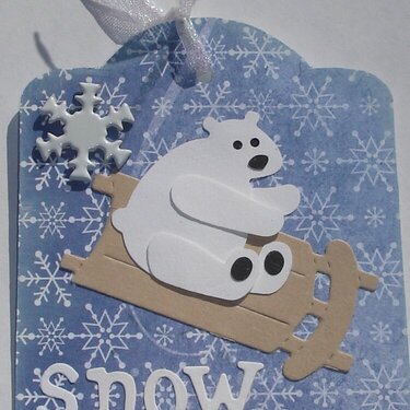 Snow Much Fun tag