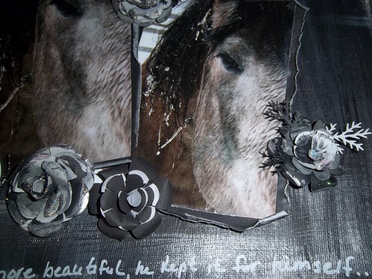Altered horse canvas