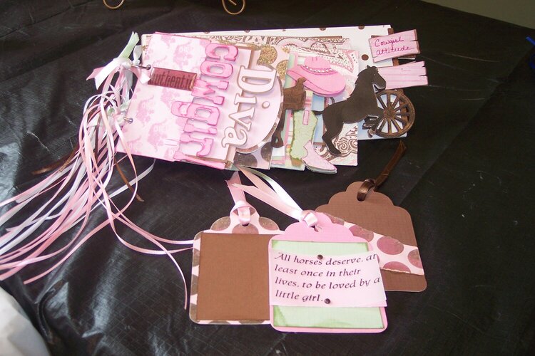 Cowgirl Diva Shape Book