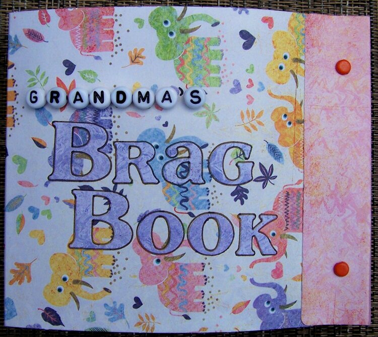 Grandma&#039;s Brag Book - Cover