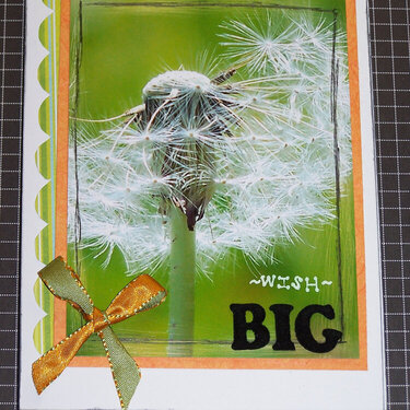 big wishes photo card~