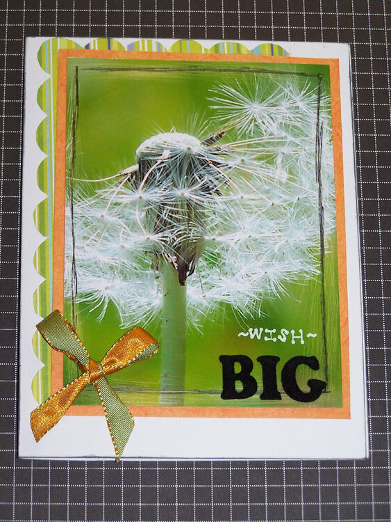 big wishes photo card~
