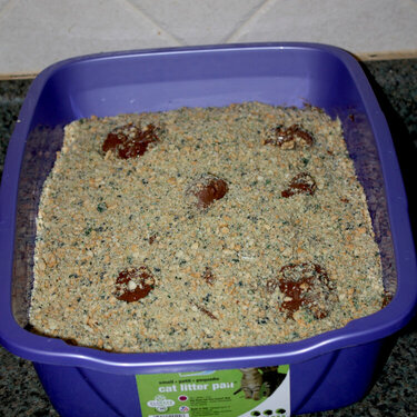 litter box cake