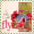 I wish I could fly