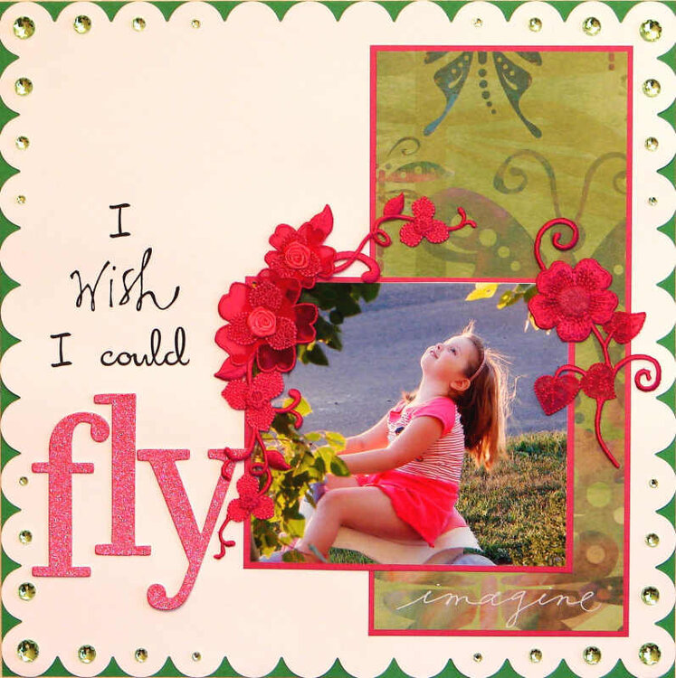 I wish I could fly