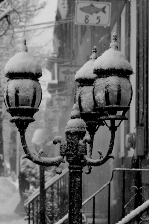Snowy lamp post