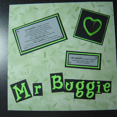 Mr. Buggie
