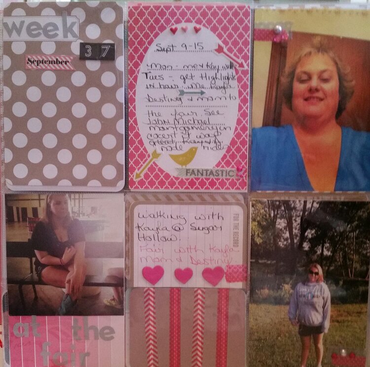 week 37 2013 project page challenge