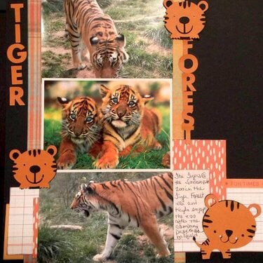 Tiger Forest  #62