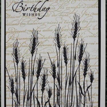 Wheat birthday card