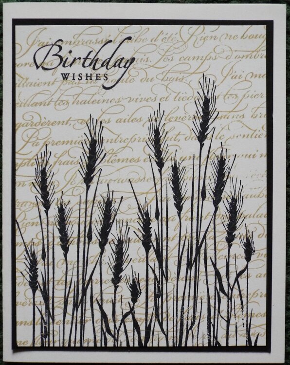 Wheat birthday card
