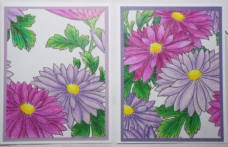 Coloring book page cards
