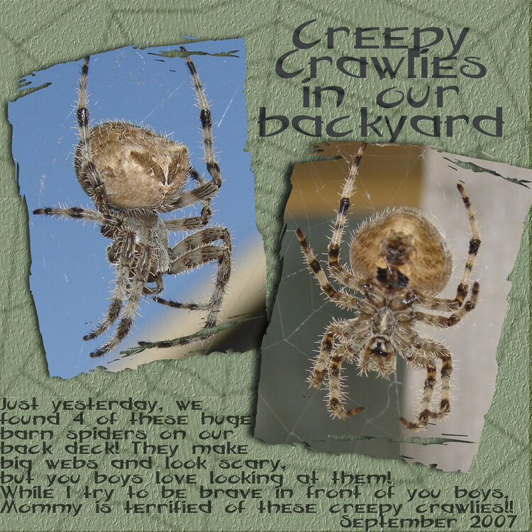 Creepy Crawlies