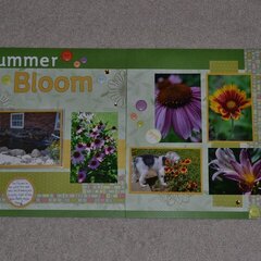LN - Summer Bloom