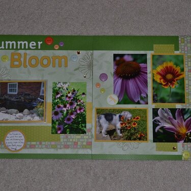 LN - Summer Bloom