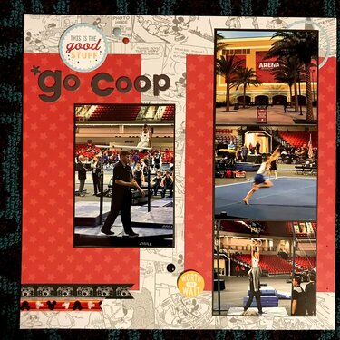 LN - go Coop 2018