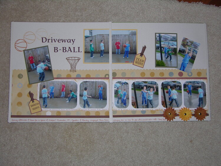 LN - Driveway B-Ball