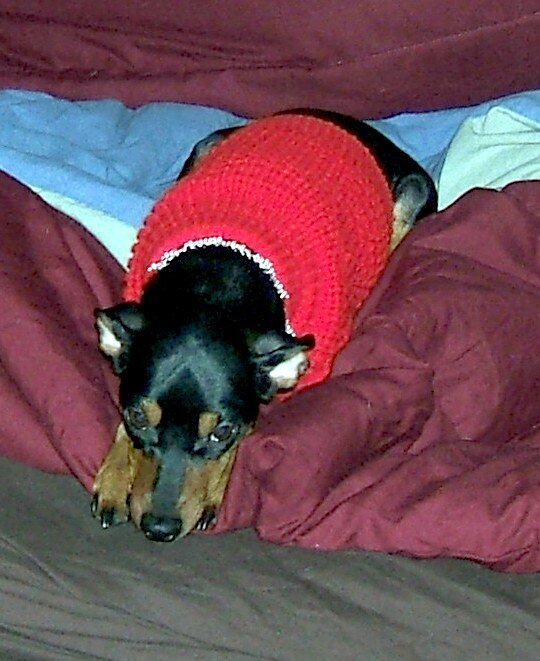 Maya in her new Red Sweater