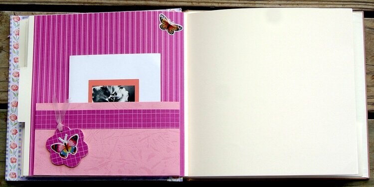 SARA&#039;S SCRAPBOOK-( 1st pocket page for the Get well cards)