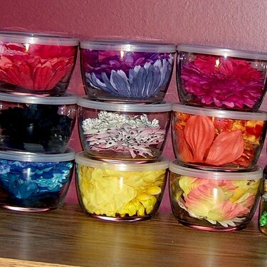 Scraproom Flower Organization-Glass Jars
