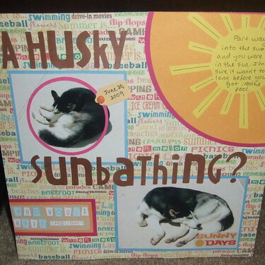 A Husky Sunbathing?