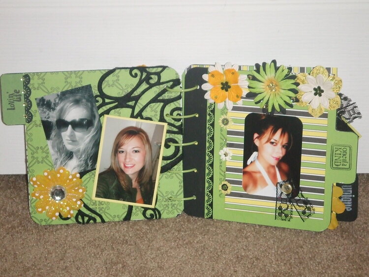 Me Chipboard Album