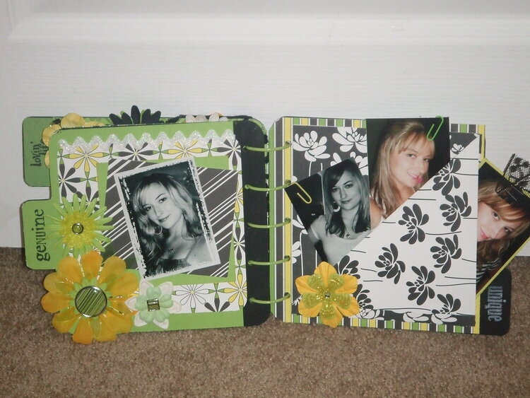 Me Chipboard Album