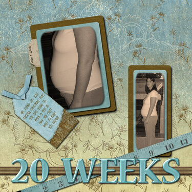 20 Weeks